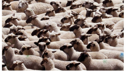 &laquo; Un d&eacute;bat honn&ecirc;te et constructif plut&ocirc;t que des accusations mensong&egrave;res &raquo;