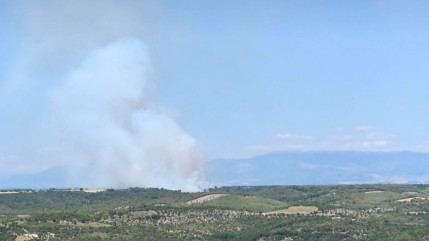 Cinq hectares brulés à Allemagne en Provence