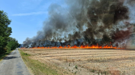 Un feu de chaume maîtrisé après avoir brûlé 4,5 hectares