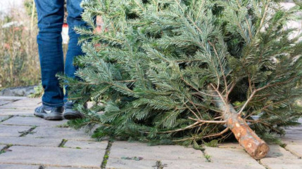 « Un geste écologique pour bien commencer l’année » à Castellane « Un geste écologique pour bien commencer l’année » à Castellane