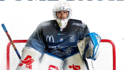 Un retour dans les cages des Rapaces