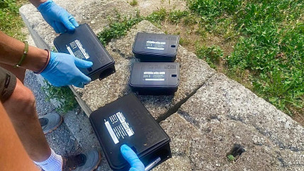 Une campagne de dératisation lancée à Forcalquier Une campagne de dératisation lancée à Forcalquier