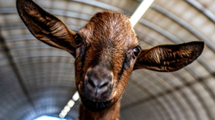 Une centaine de producteurs et d&rsquo;agriculteurs des Hautes-Alpes &agrave; la plus grande ferme de France