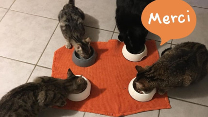 Une collecte solidaire pour le refuge animalier de la Vallée de l’Ubaye