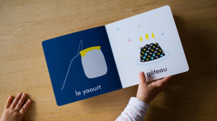 Une journée professionnelle dédiée à la petite enfance à Digne les Bains