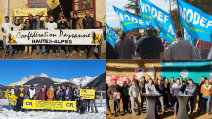 Valorisation du terroir, revenus des agriculteurs, l'eau... quatre visions pour la Chambre d'Agriculture haut-alpine