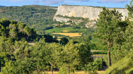 Villages d’avenir : 38 nouvelles communes rejoignent le dispositif