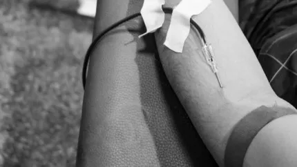 Alpes du sud : les collectes de sang continuent Alpes du sud : les collectes de sang continuent