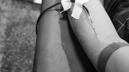 Alpes du sud : nouvelles dates de collecte de sang Alpes du sud : nouvelles dates de collecte de sang