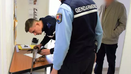 Haute-Provence : 772 armes abandonnées Haute-Provence : 772 armes abandonnées