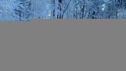 Hautes-Alpes : la saison d'hiver reprend à Gap Bayard Hautes-Alpes : la saison d'hiver reprend à Gap Bayard
