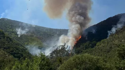 Hautes-Alpes : point sur les feux de forêt du département