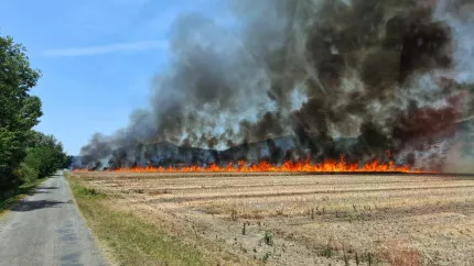 Un feu de chaume maîtrisé après avoir brûlé 4,5 hectares