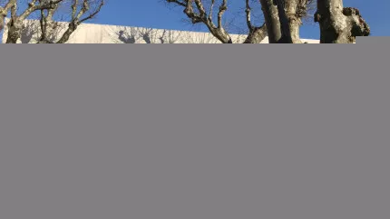 Un homme condamné à un an de prison ferme pour violences aggravées Un homme condamné à un an de prison ferme pour violences aggravées