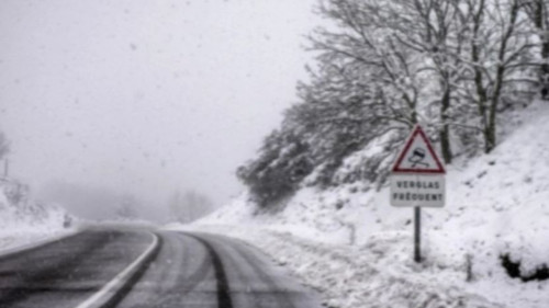 Des fermetures de routes &agrave; cause des chutes de neige