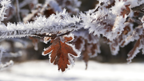 Des temp&eacute;ratures &laquo; glaciales &raquo; jusqu&rsquo;&agrave; -20 degr&eacute;s sur les Hautes-Alpes