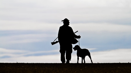 La partie de chasse vire au drame aux Mées, il tire accidentellement sur son ami