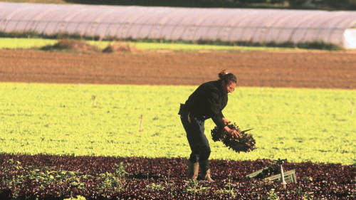 Le Premier ministre &eacute;crit aux agriculteurs, l&rsquo;&Eacute;tat promet des mesures rapides dans les Hautes-Alpes