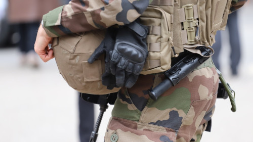 Le r&eacute;giment de Gap pr&ecirc;t &agrave; renforcer un exercice militaire de l&rsquo;OTAN au Groenland