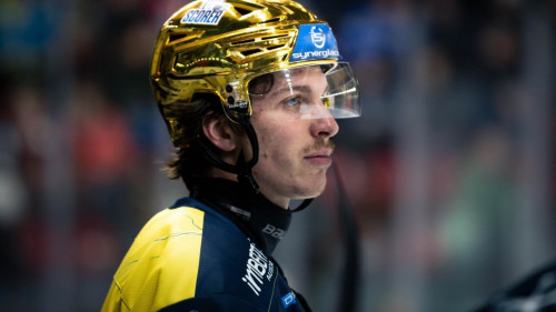 Les Rapaces battus à Marseille