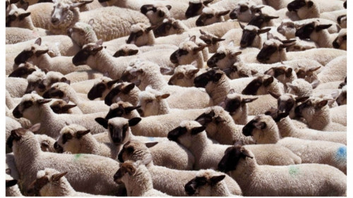 &laquo; Un d&eacute;bat honn&ecirc;te et constructif plut&ocirc;t que des accusations mensong&egrave;res &raquo;