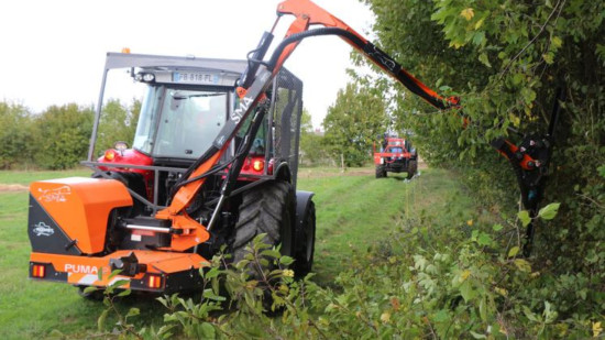 Interdiction de la taille des arbres et des haies: une d&eacute;rogation mise en place