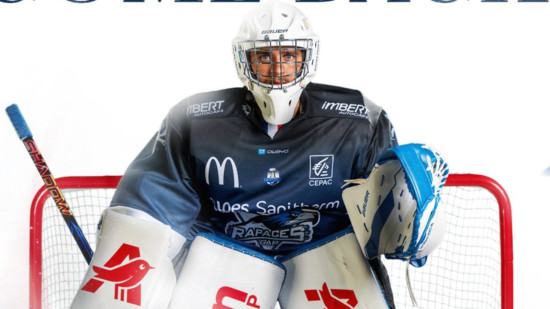 Un retour dans les cages des Rapaces