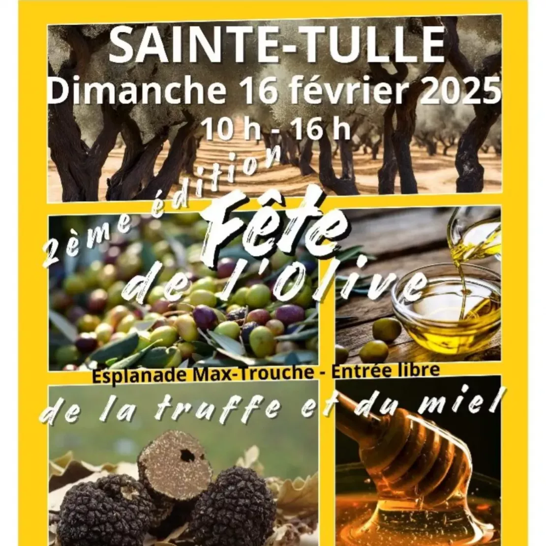 Alpes 1 & Vous - Fête de l'olive et de la truffe à Sainte-Tulle