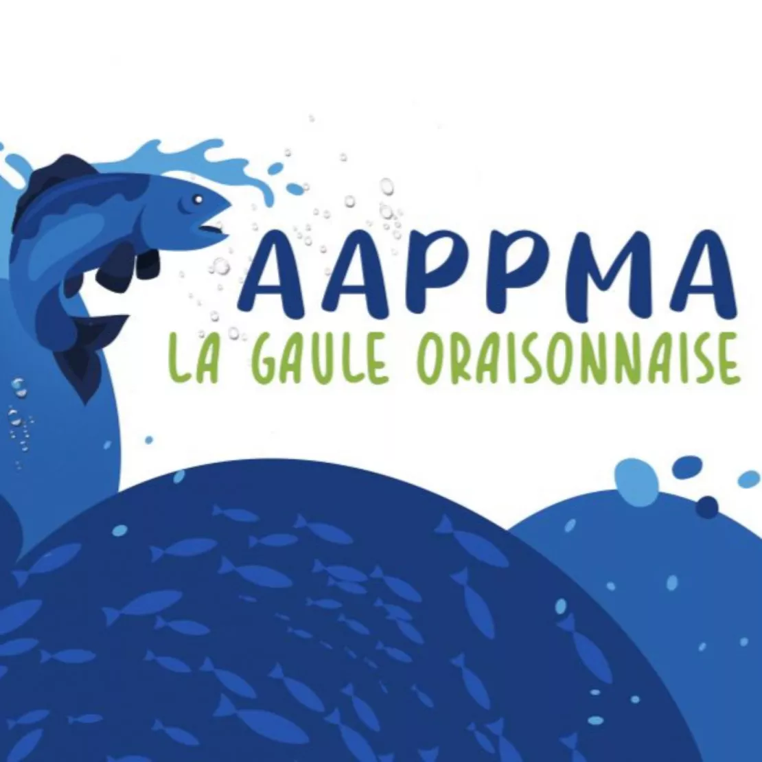 Alpes 1 & Vous : Ouverture de la pêche ce week-end - Rencontre avec la Gaule Oraisonnaise