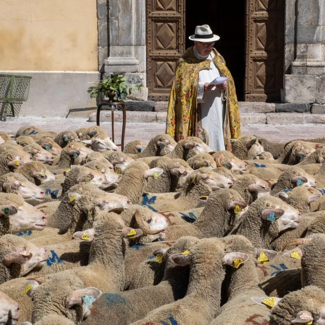 Près de chez vous avec la fête de la transhumance à Jausiers