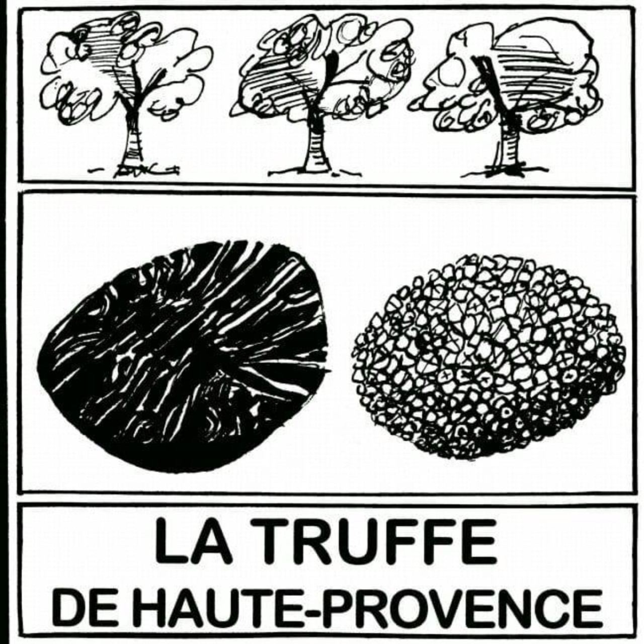 32ème fête de la Truffe à Mane 32ème fête de la Truffe à Mane