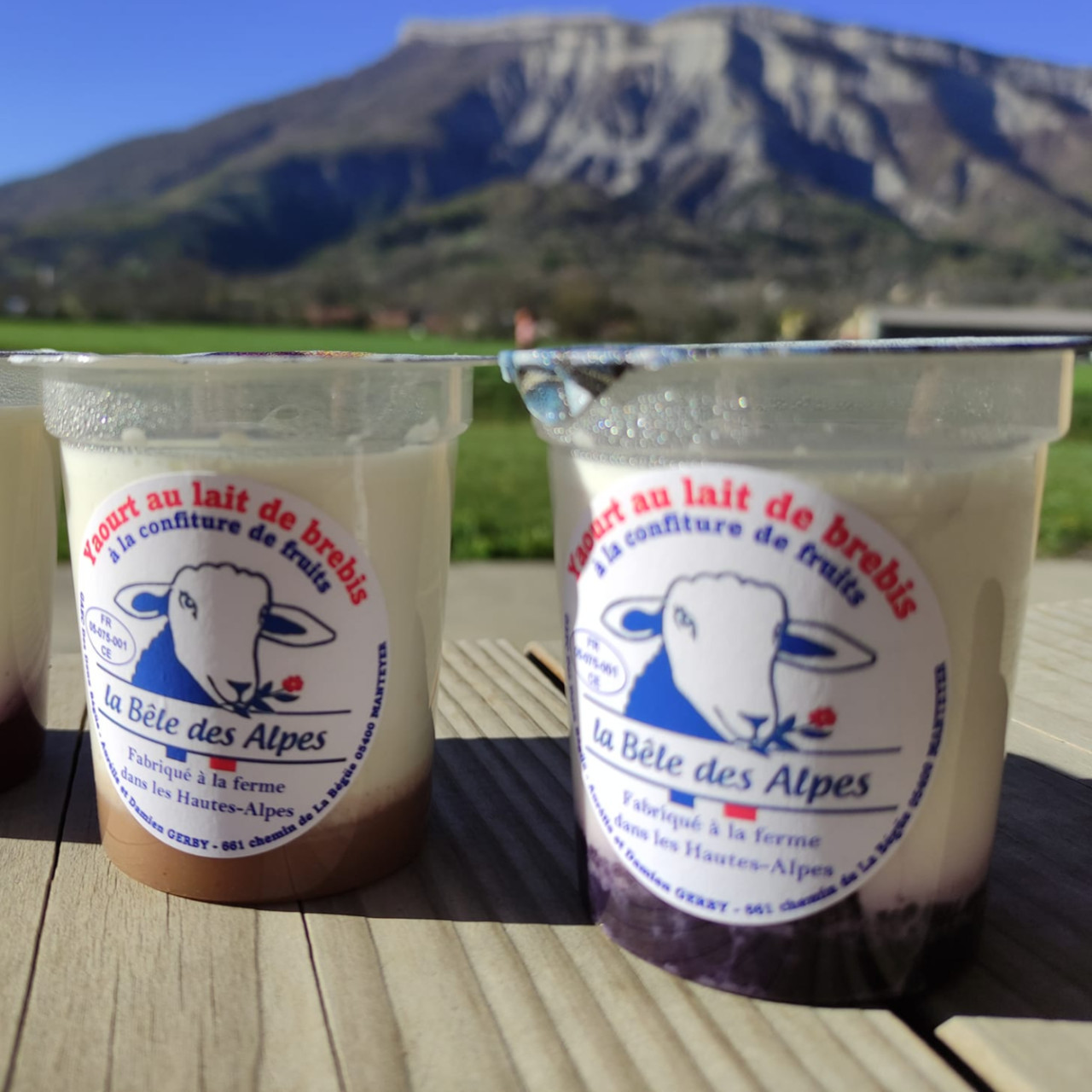 Alpes 1 & Vous : Salon de l'Agriculture 2024 : GAEC des 2 Bégues La Bêle des Alpes