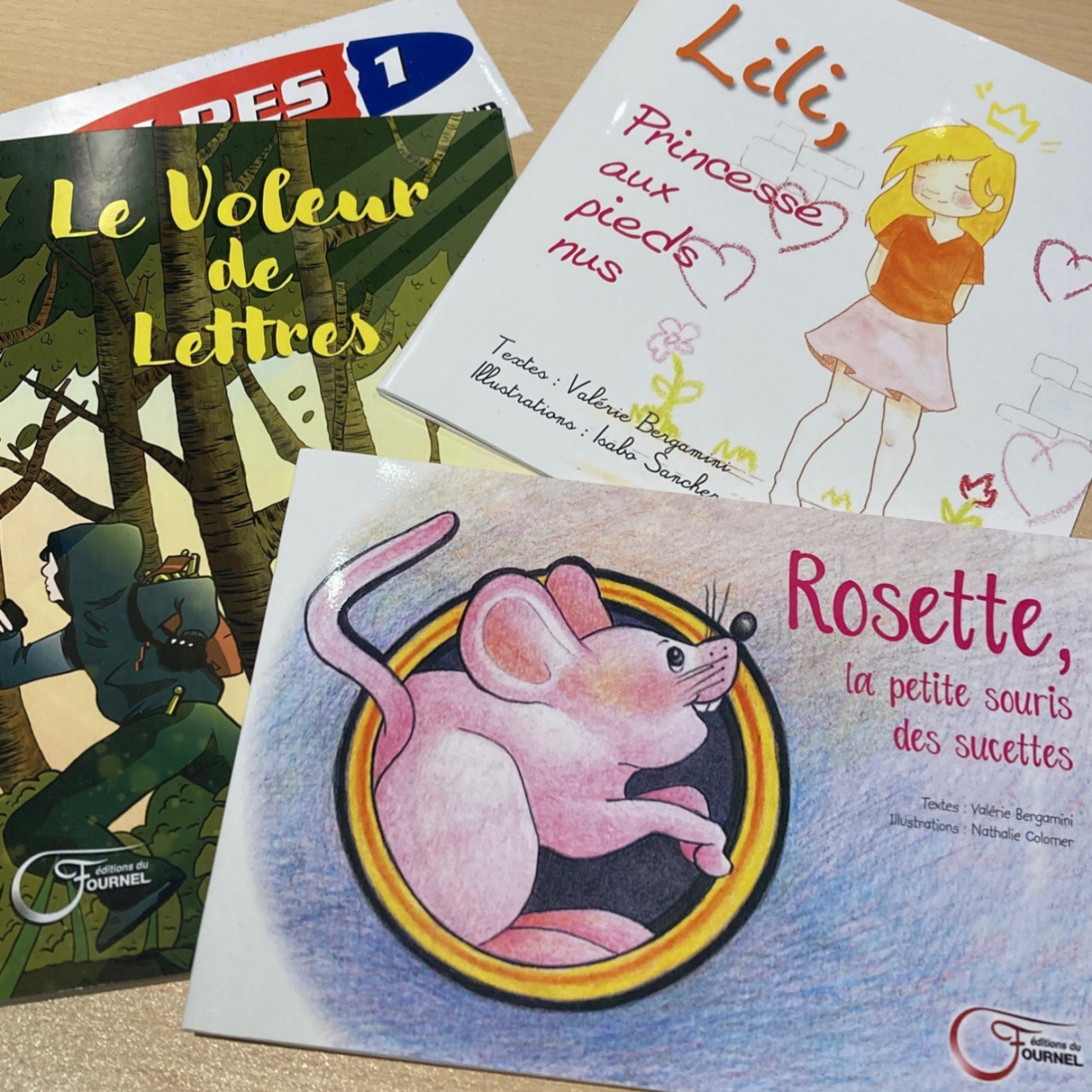 Alpes 1 & Vous : Valérie Bergamini Autrice jeunesse Gapençaise Alpes 1 & Vous : Valérie Bergamini Autrice jeunesse Gapençaise