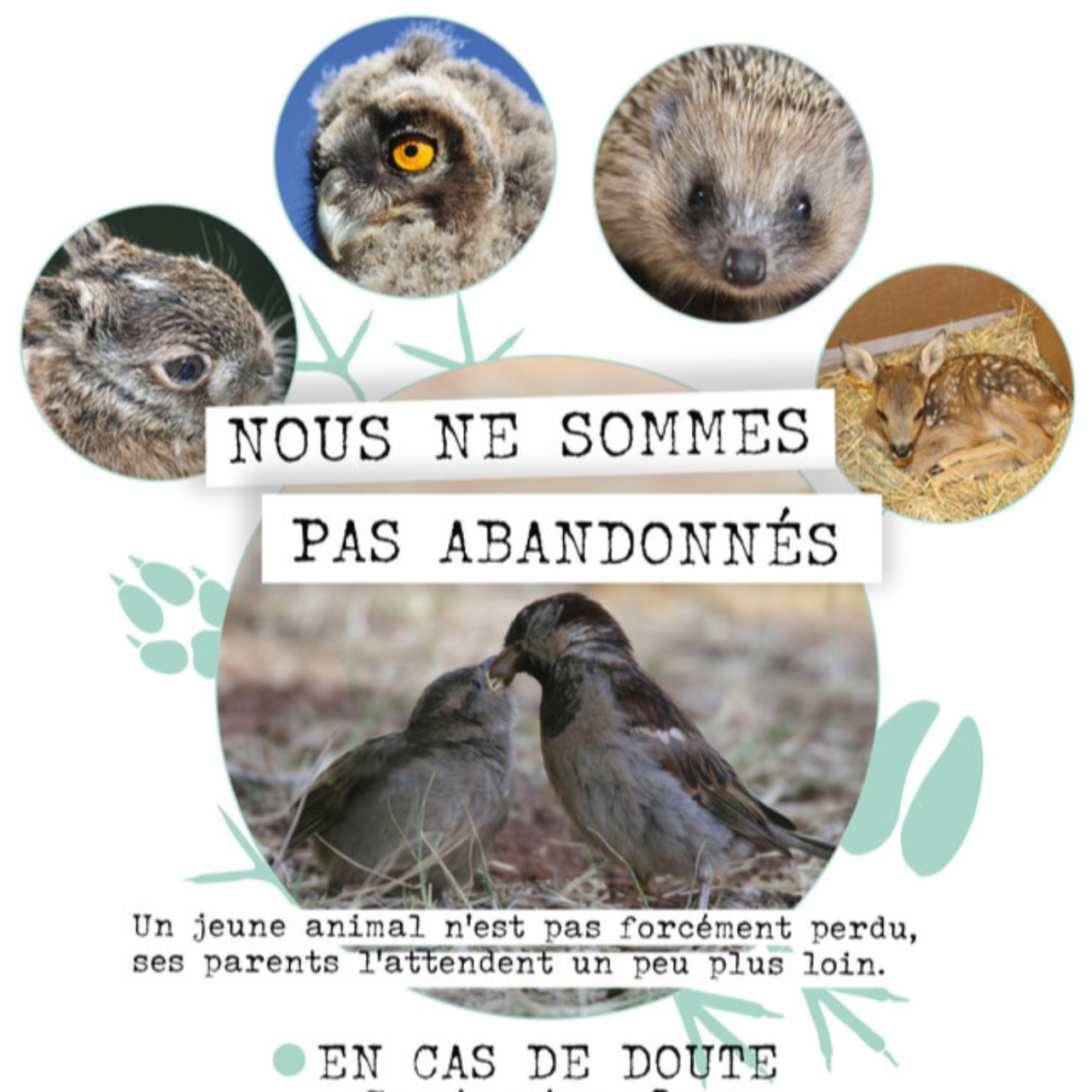 Centre de soin et de sauvegarde de la faune sauvage 05 - 04 Centre de soin et de sauvegarde de la faune sauvage 05 - 04