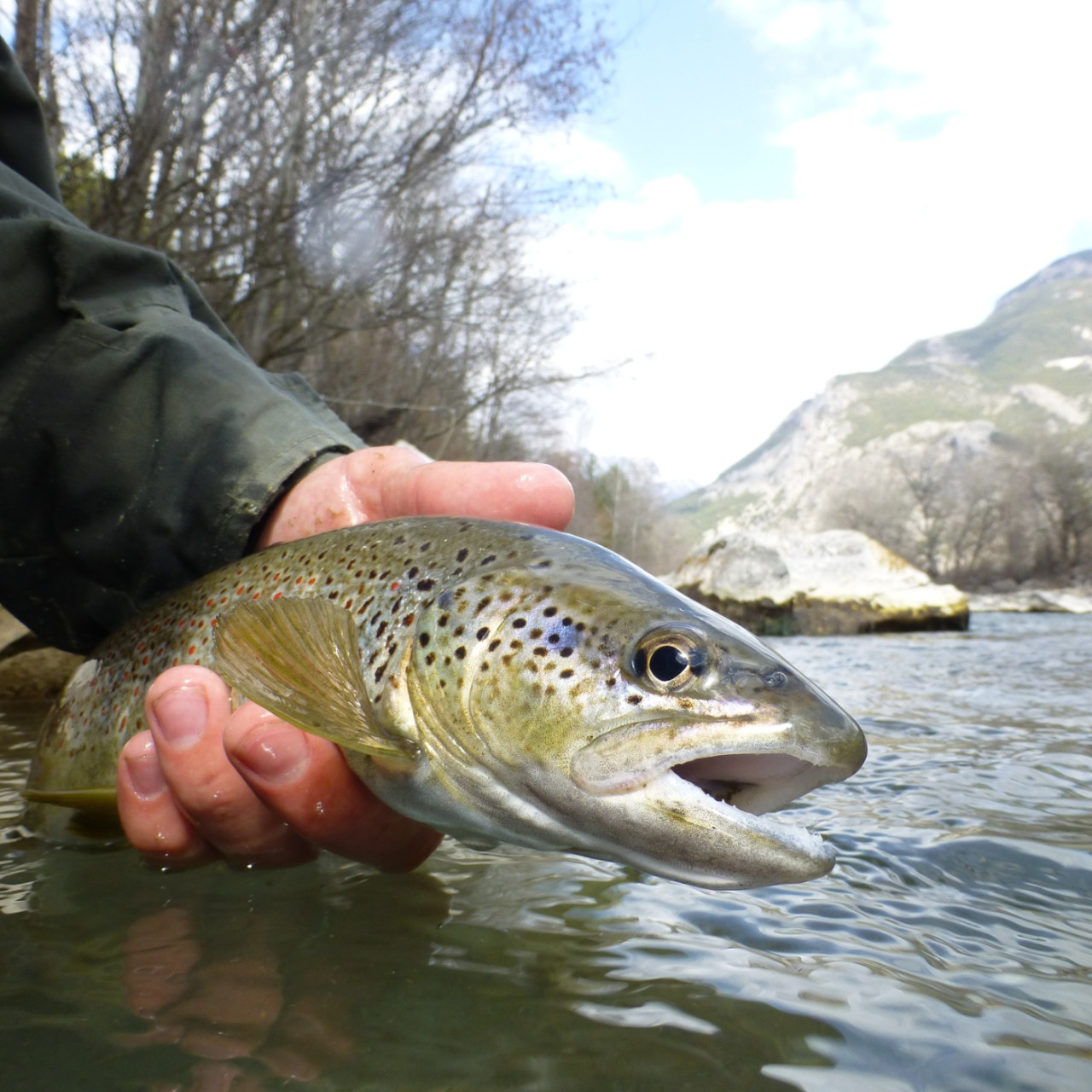 L'invité du 8:30 : Dewis Davudian de la Fédération de la Pêche 05 L'invité du 8:30 : Dewis Davudian de la Fédération de la Pêche 05