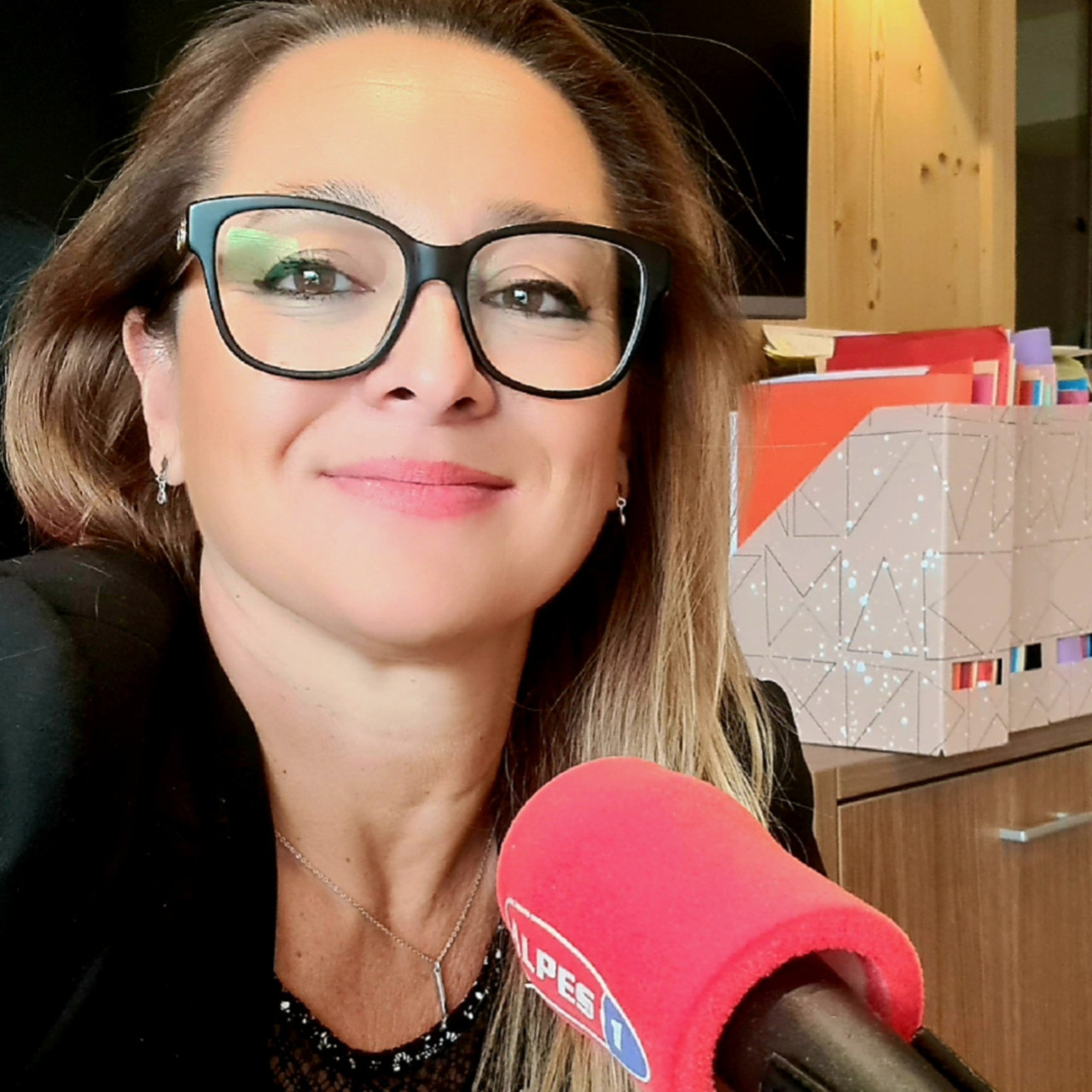 La Rubrique Des Notaires des Hautes Alpes du 20 juin 2024 La Rubrique Des Notaires des Hautes Alpes du 20 juin 2024