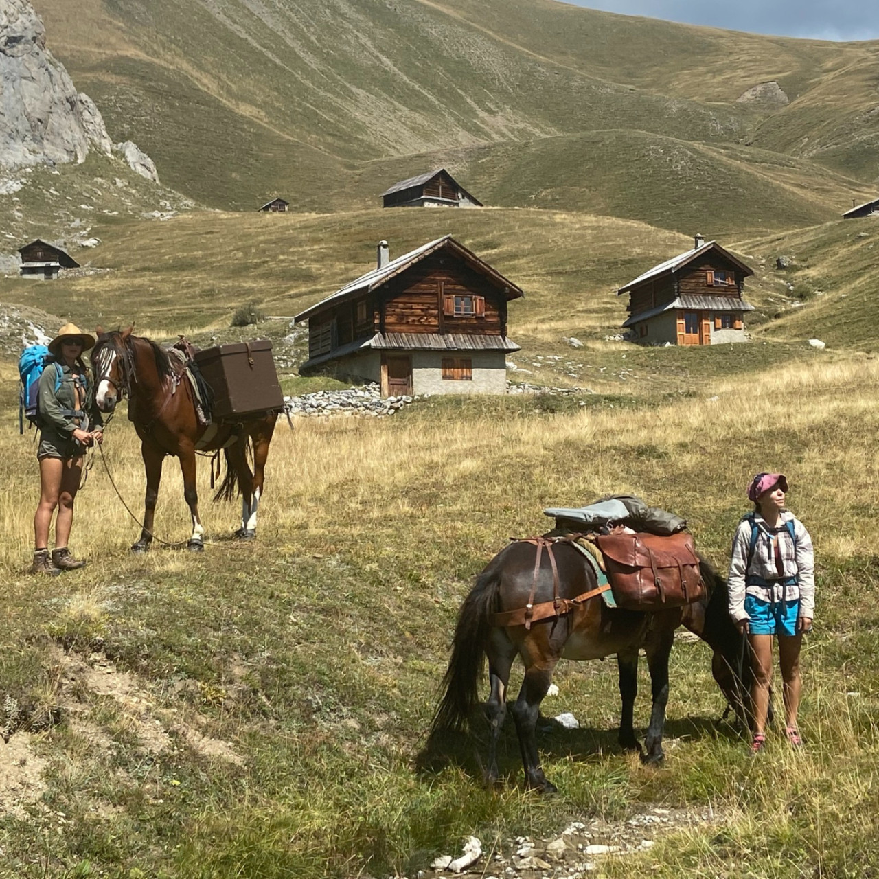 Le 8:30 avec le Comité départemental du Tourisme Équestre des Hautes-Alpes Le 8:30 avec le Comité départemental du Tourisme Équestre des Hautes-Alpes