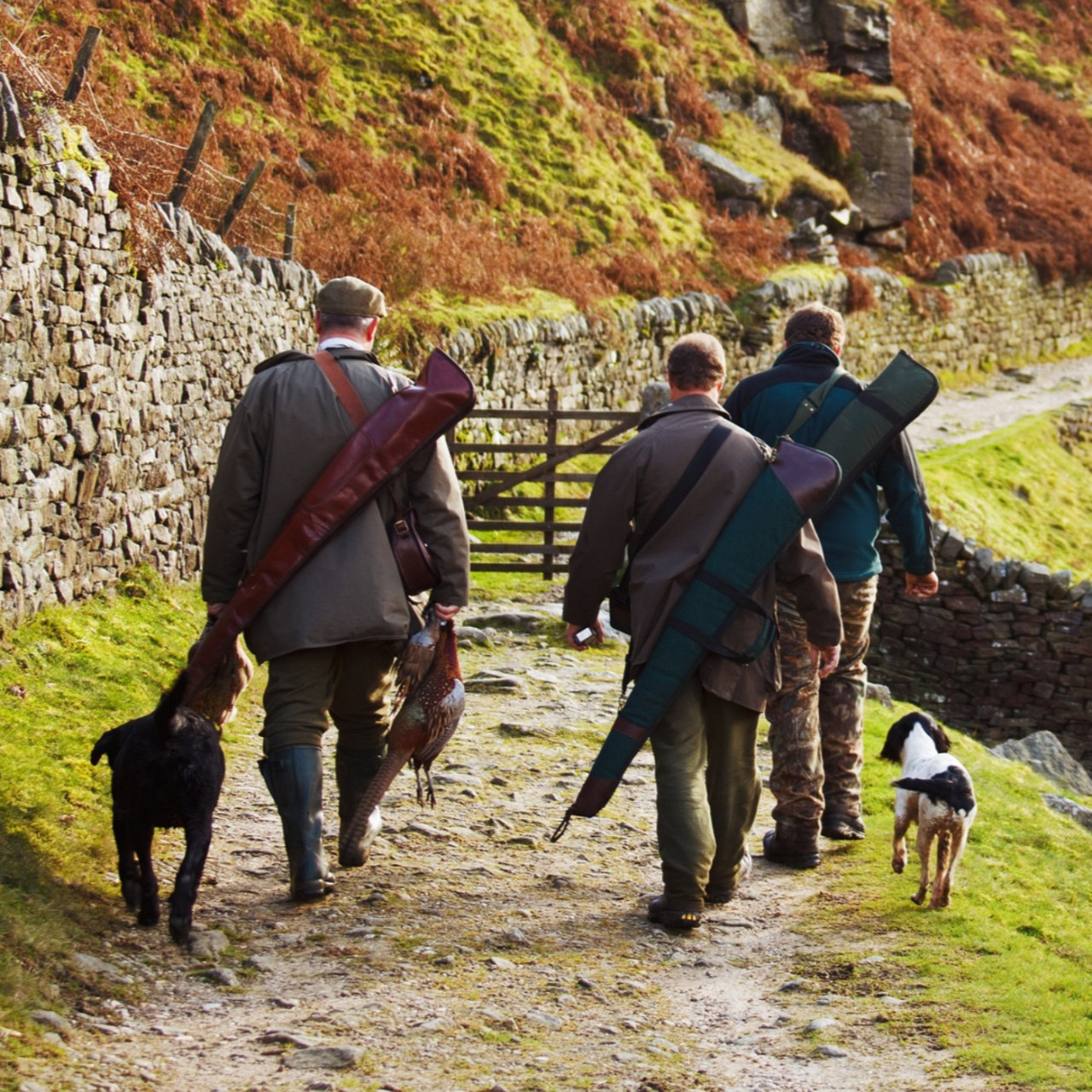 Le 8:30 avec Philippe Boisset