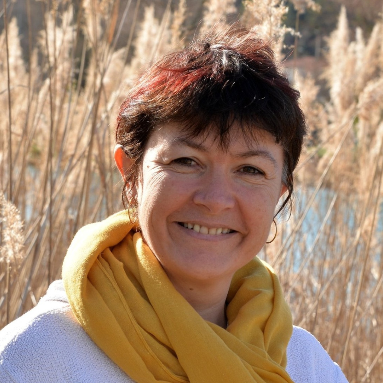 Le 8:30 avec Sandrine Cosserat Le 8:30 avec Sandrine Cosserat