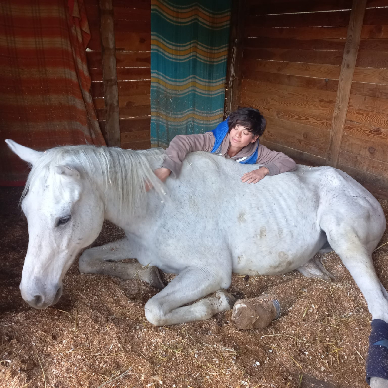 Près de chez vous avec l'Arche de Chachou Près de chez vous avec l'Arche de Chachou