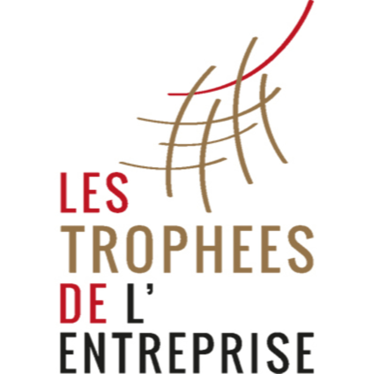 Près de chez vous avec les Trophées de l'entreprise de la CCI 05