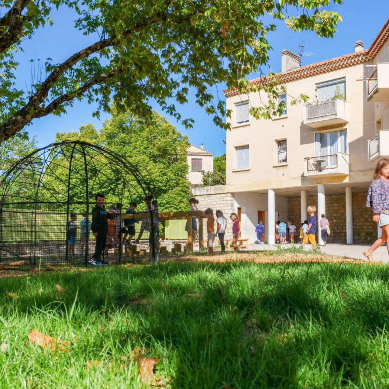 Près de chez vous dans des cours d'école revégétalisées