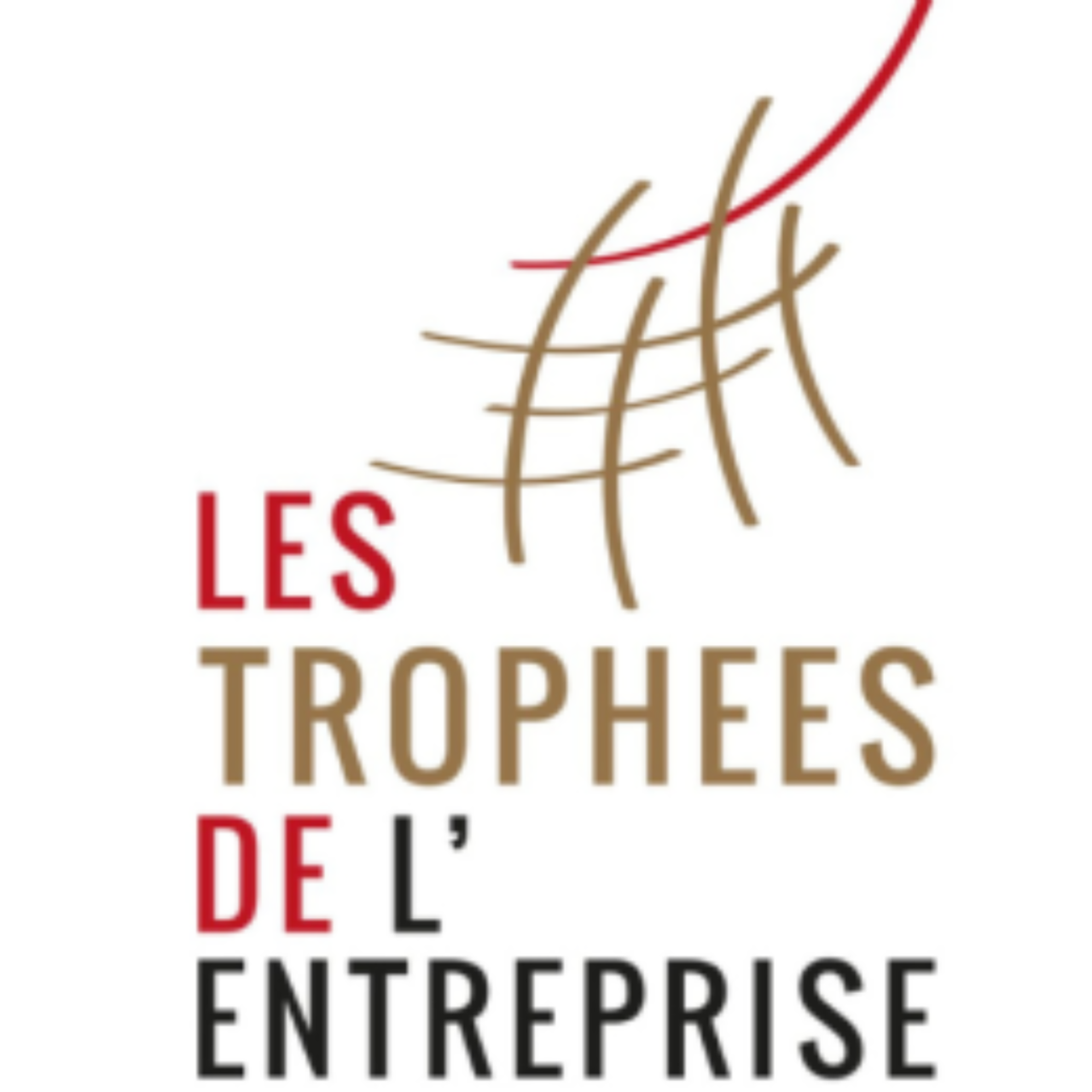 Près de Chez Vous - Les trophées de l’Entreprise CCI 05 Près de Chez Vous - Les trophées de l’Entreprise CCI 05