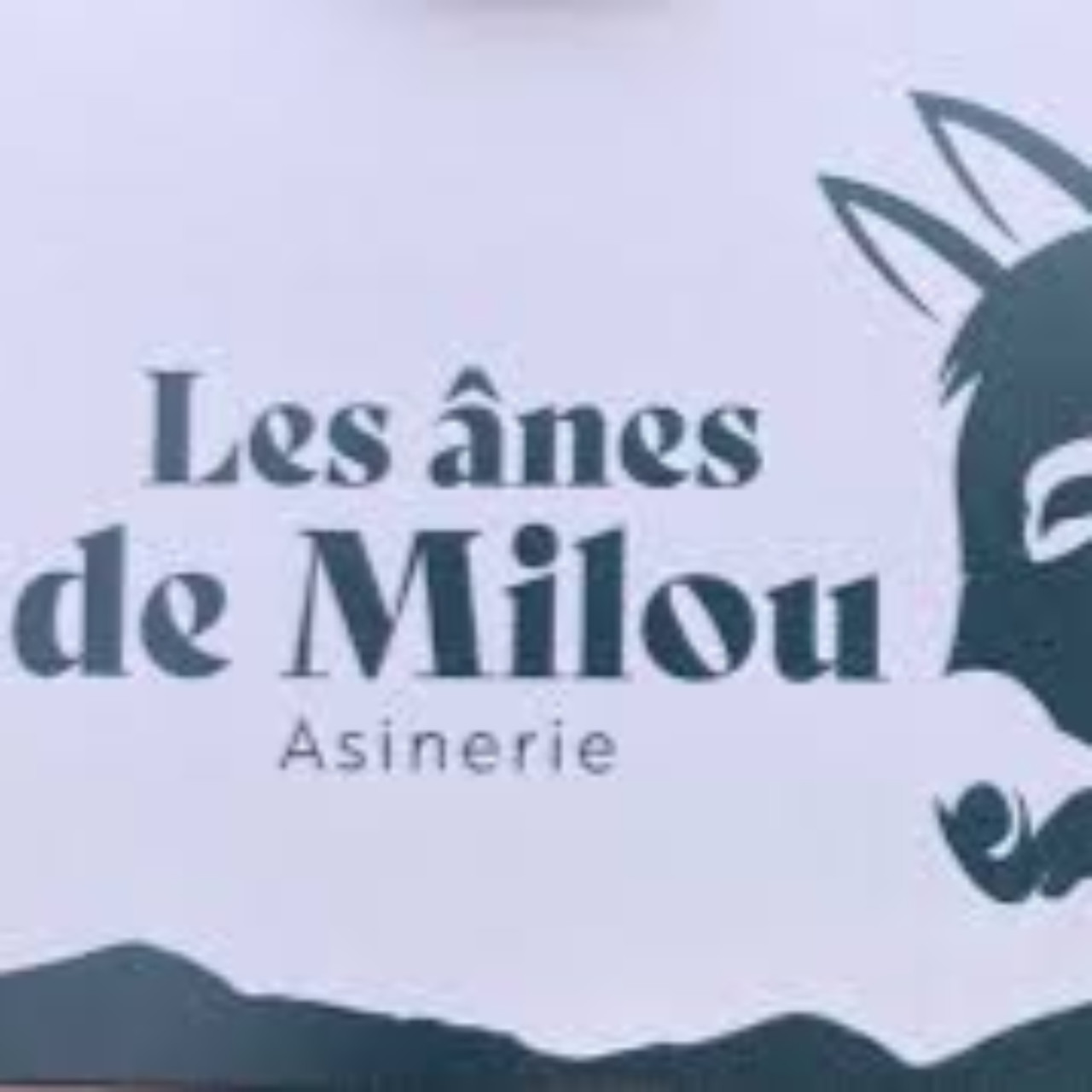 Spécial Salon International de l'Agriculture Spécial Salon International de l'Agriculture