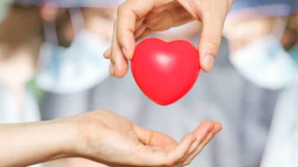 Les invités du 8:30 : France ADOT 05 Les invités du 8:30 : France ADOT 05