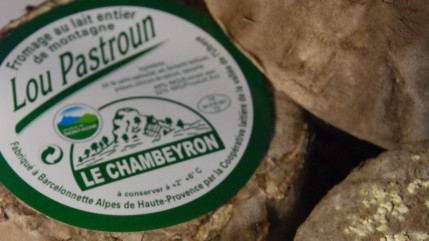 Zoom sur la Coopérative Laitière de la vallée de l'Ubaye