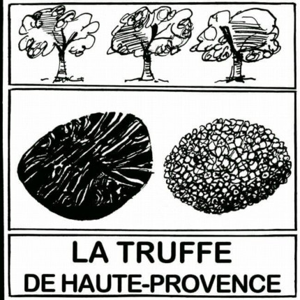 32ème fête de la Truffe à Mane