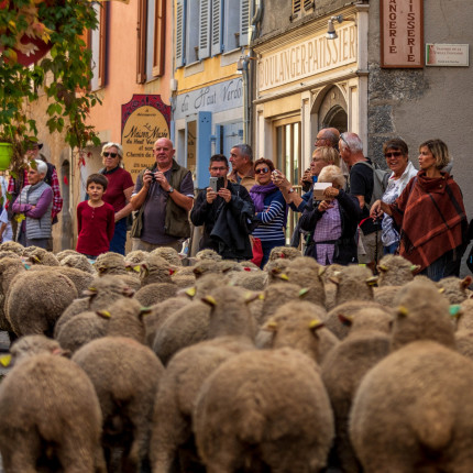 Alpes 1 & Vous - La " Revendran" transhumance à Colmars les Alpes Alpes 1 & Vous - La " Revendran" transhumance à Colmars les Alpes