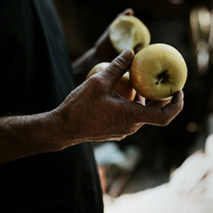 Alpes 1 & Vous : Salon de l'Agriculture 2024 : La Pomme des Alpes / Domaine de la Pradelle