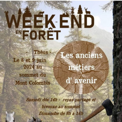 Alpes 1 & Vous : Week-End en Forêt - Théus 3ème édition Alpes 1 & Vous : Week-End en Forêt - Théus 3ème édition